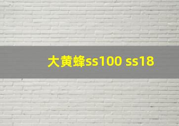 大黄蜂ss100 ss18